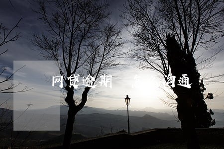 网贷逾期 怎么沟通 网贷逾期 怎么沟通